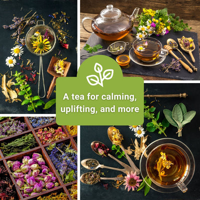 Five Herbal Tea Collection