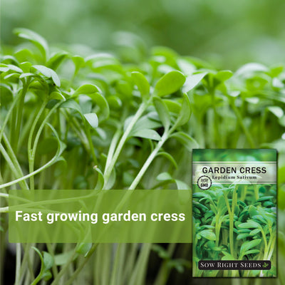 Fast Growing Garden Cress