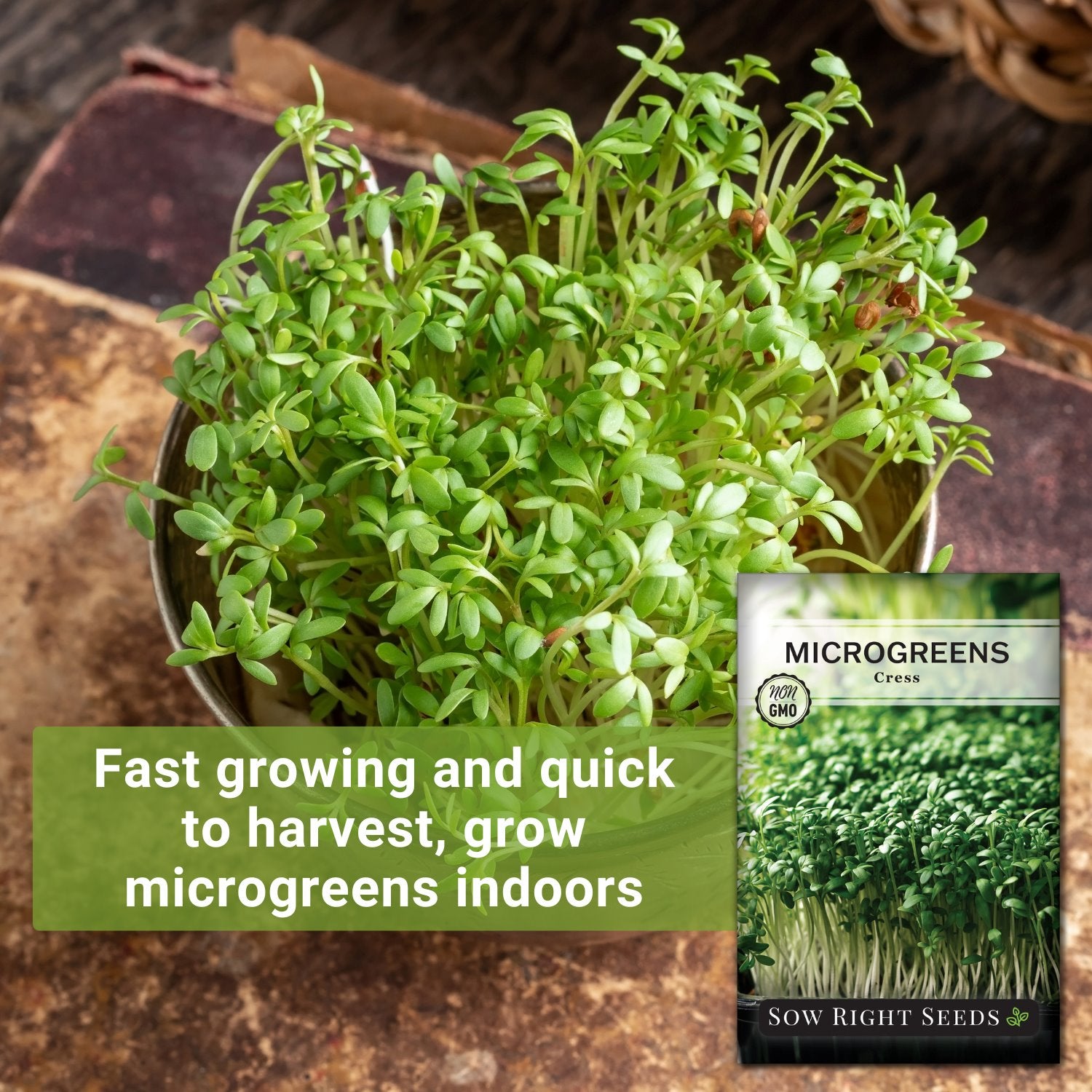 Curled Cress Seeds - Organic & Non Gmo Cress Seeds - Heirloom Seeds –  Microgreen Seeds - Grow Your Own Fresh Cress Microgreens At Home