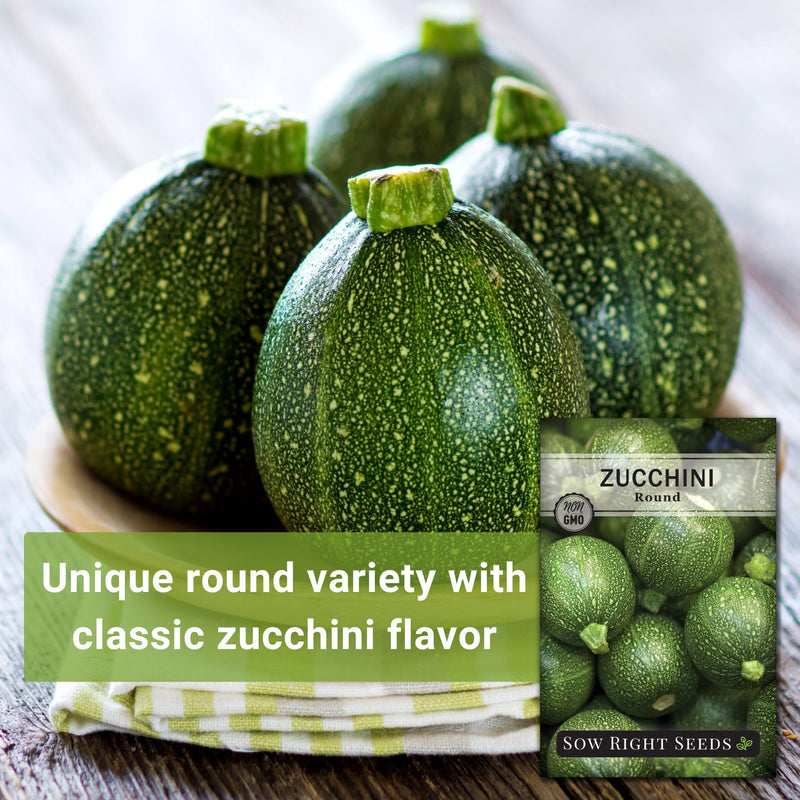 Round Zucchini