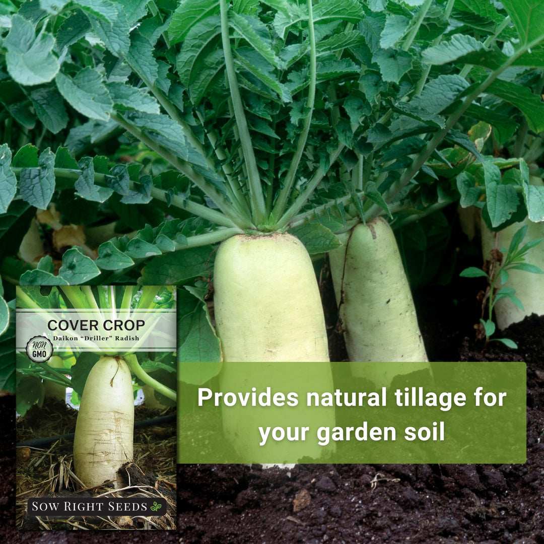 PacketFront2_65f6776f-a6a6-