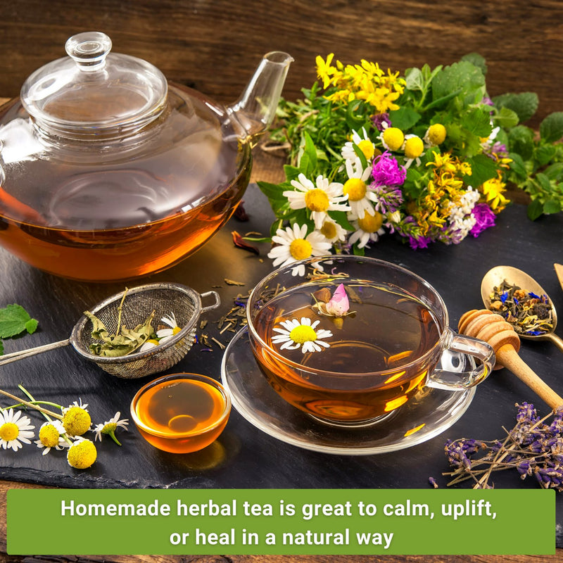 Ten Herbal Tea Collection