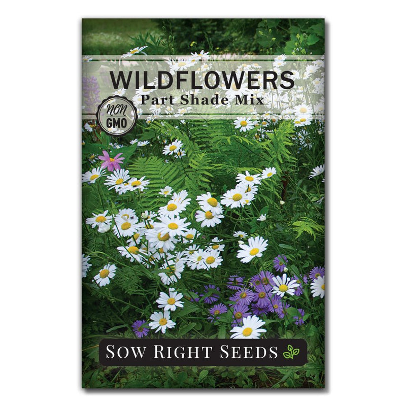 mix of annual and perennial wildflower seeds for partial shade for sale