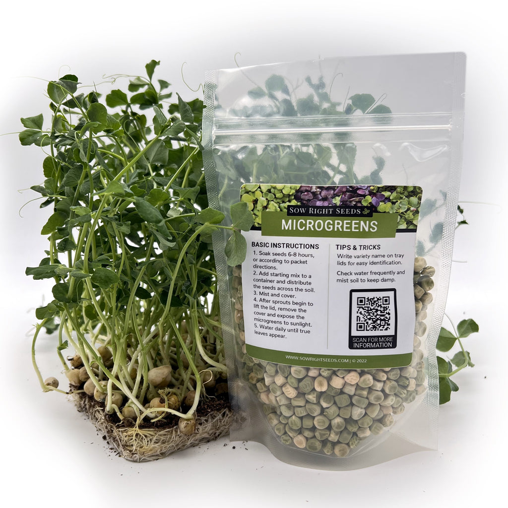 How to Grow Cress Microgreens  Planter's Library – Sow Right Seeds