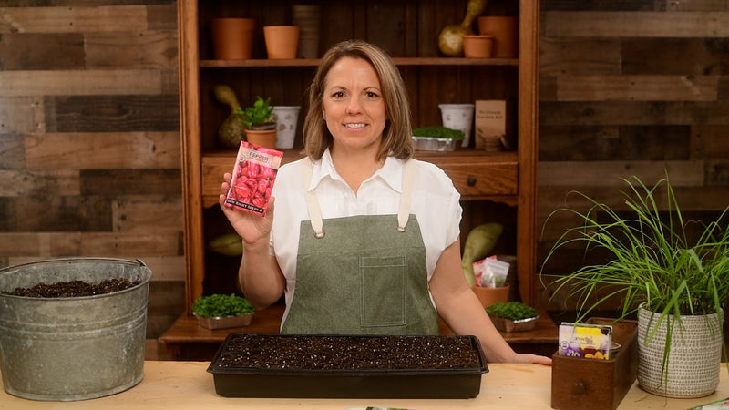 red habanero pepper product video why you should grow red habanero pepper seeds sow right seeds video media