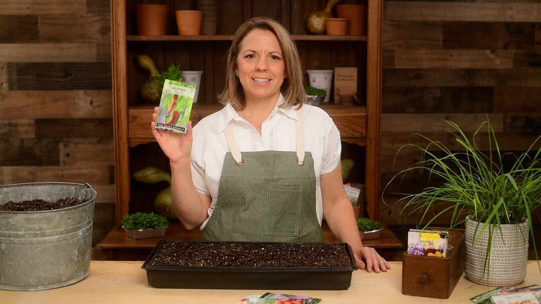 serrano pepper seeds to plant Serrano Pepper Seeds for Planting