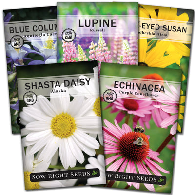 perennial flower collection containing 5 varieties of flower seeds