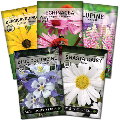 perennial flower seed packet collection with 5 varieties for sale
