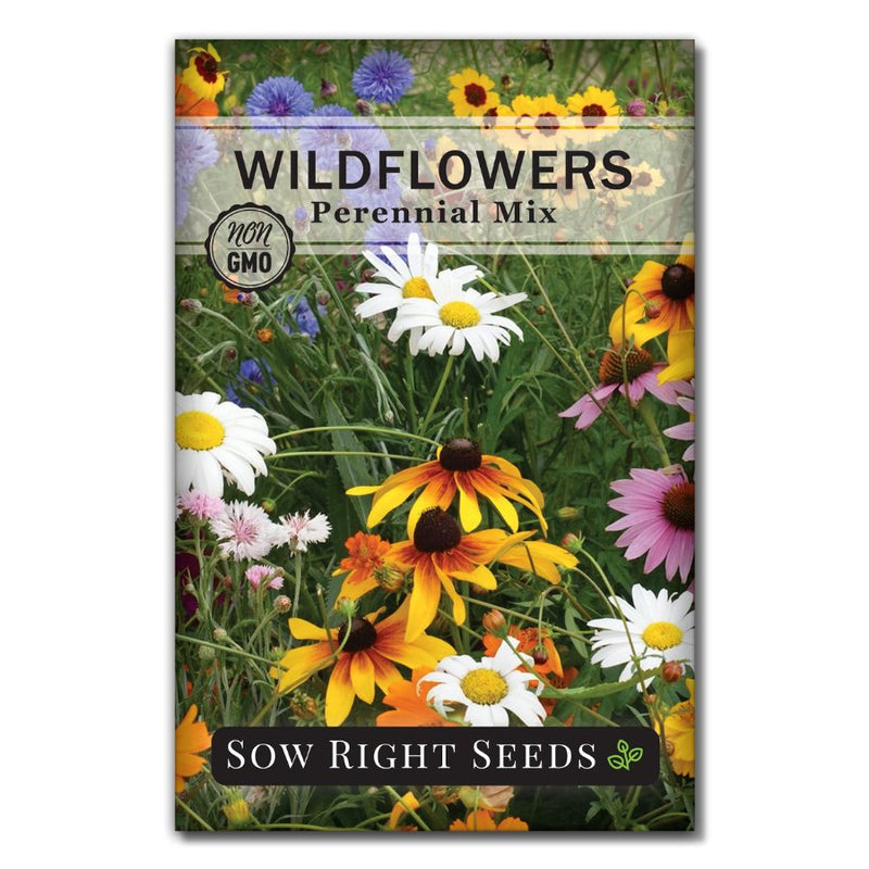 10 Annual Flower Seeds Packets with Wildflower Seeds