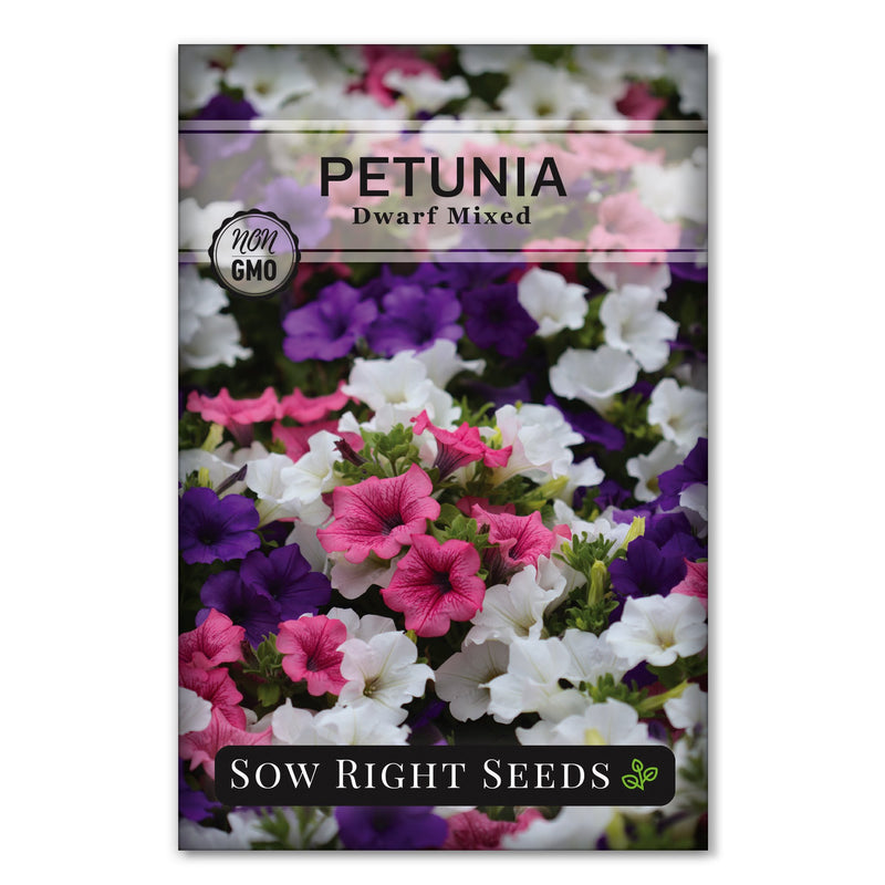 pink white purple dwarf mixed petunia seeds for sale