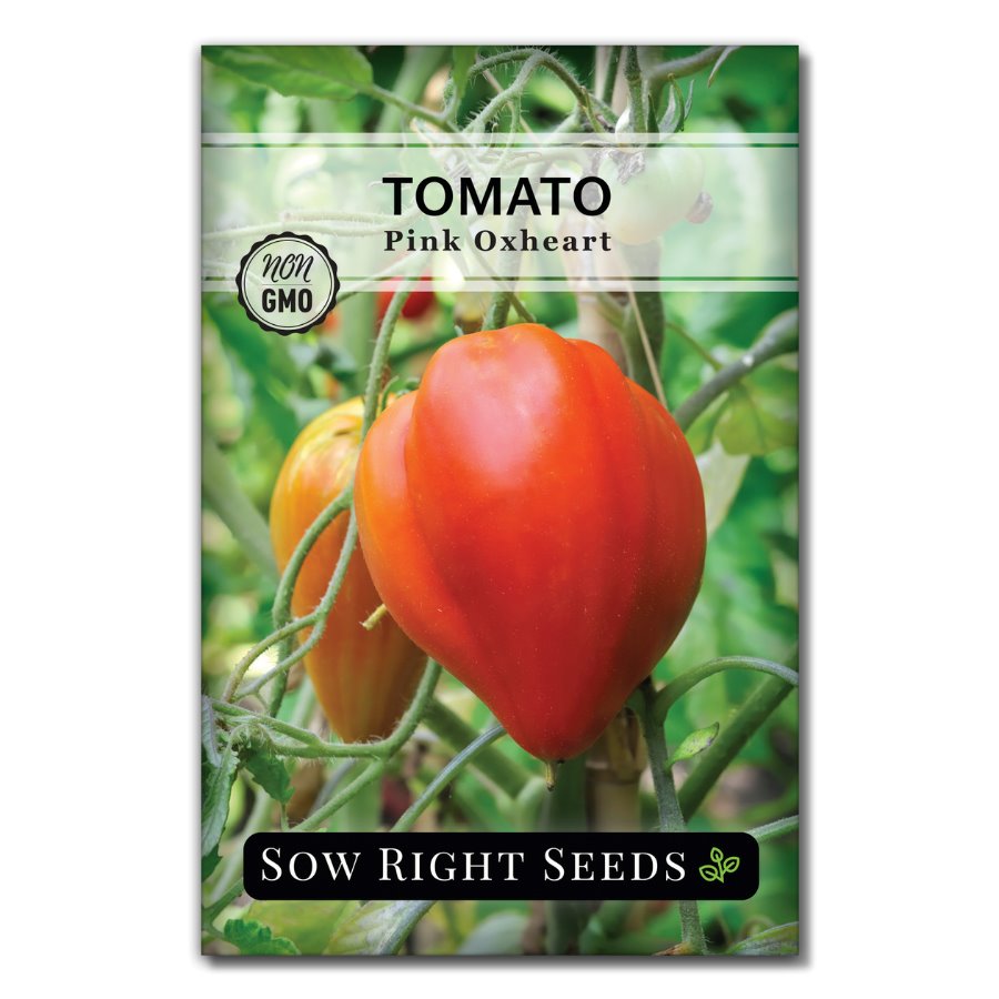 Pink Oxheart Tomato Seeds For Planting Large Heart Shape Sow Right