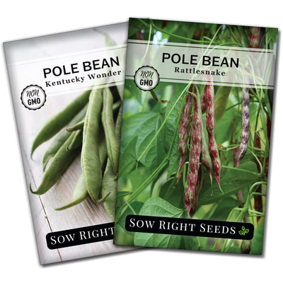 pole bean seed packet collection with 2 varieties of seeds for sale
