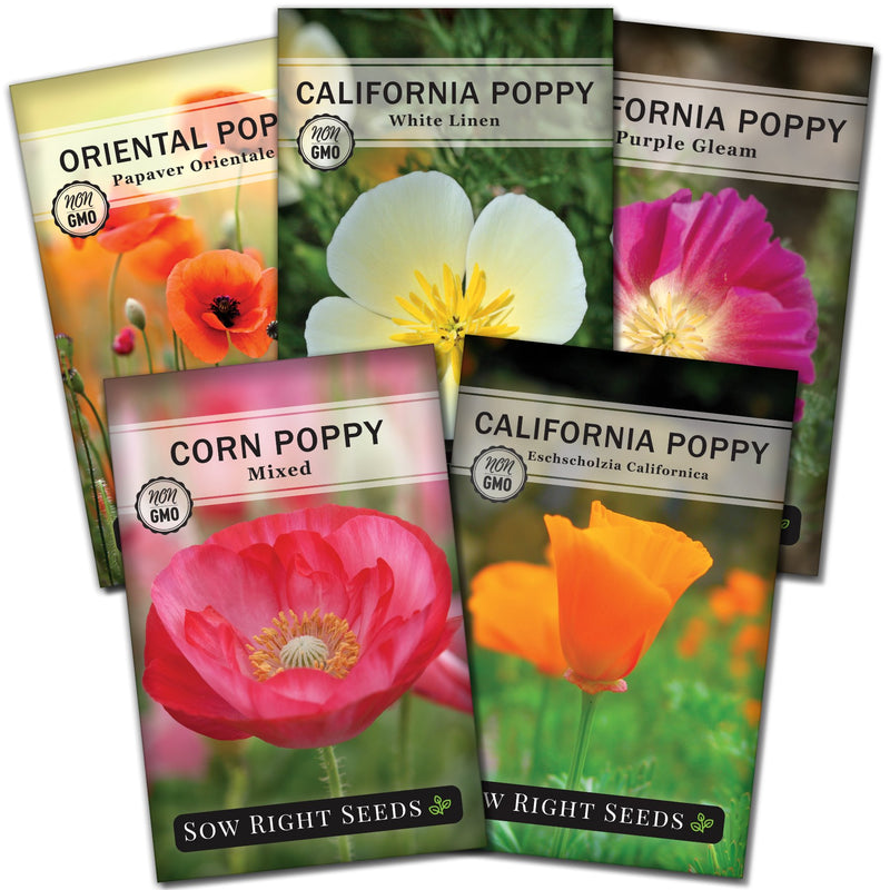 poppy flower seed packet collection with 5 varieties for sale