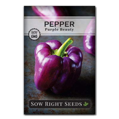 tender bitter vegetable purple beauty pepper seeds for sale
