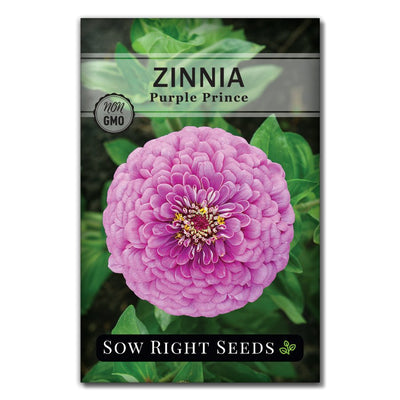 purple zinnia flower seed packet