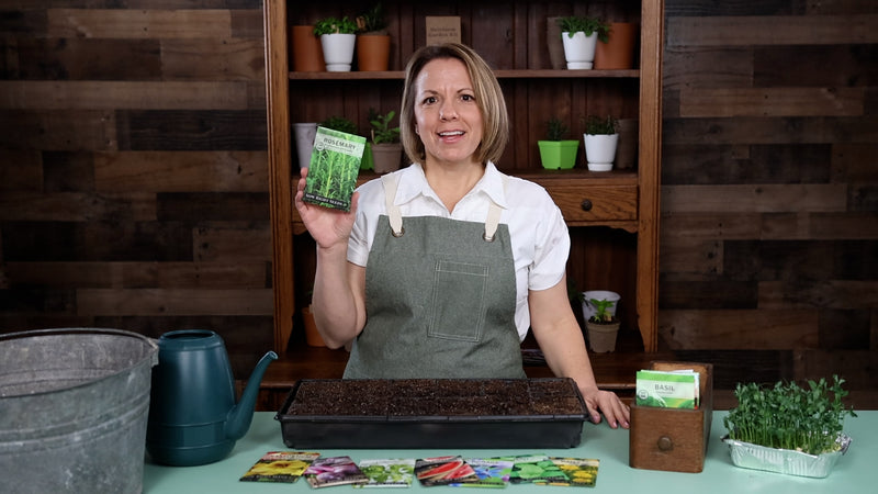 rosemary product video why you should grow rosemary seeds sow right seeds video media