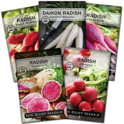radish seed packet collection with 5 varieties of seeds for sale