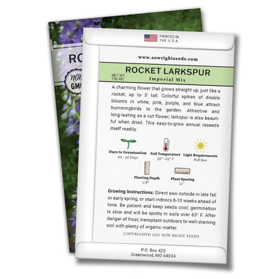 how to grow the best rocket larkspur plants