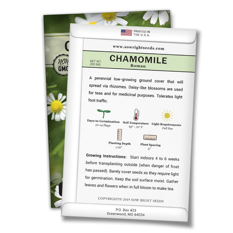 how to grow the best roman chamomile plants