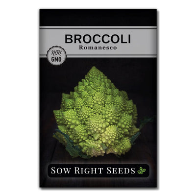 roman cauliflower fractal vegetable romanesco broccoli seeds for sale