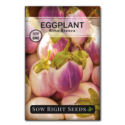 purple and white mini eggplant seeds for sale