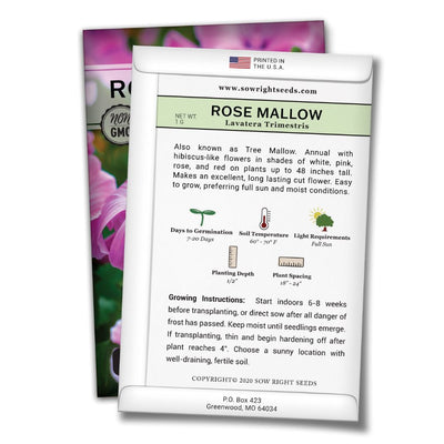 how to grow the best tree mallow plants