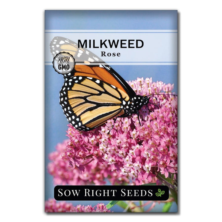 plant milkweed seeds in spring Rose (Swamp) Milkweed Seeds