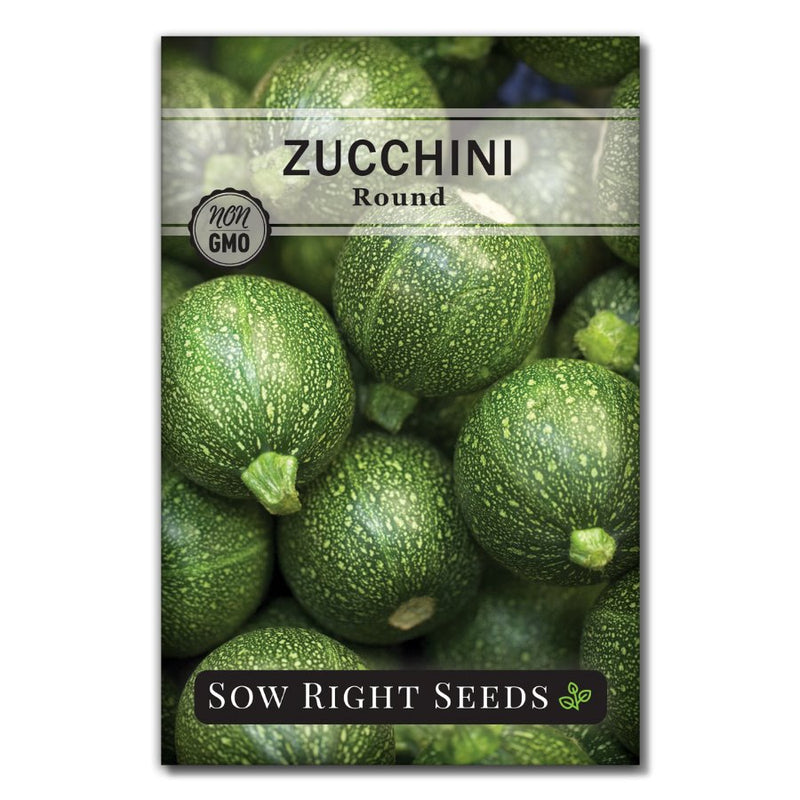 bush light green vegetable round zucchini seeds for sale