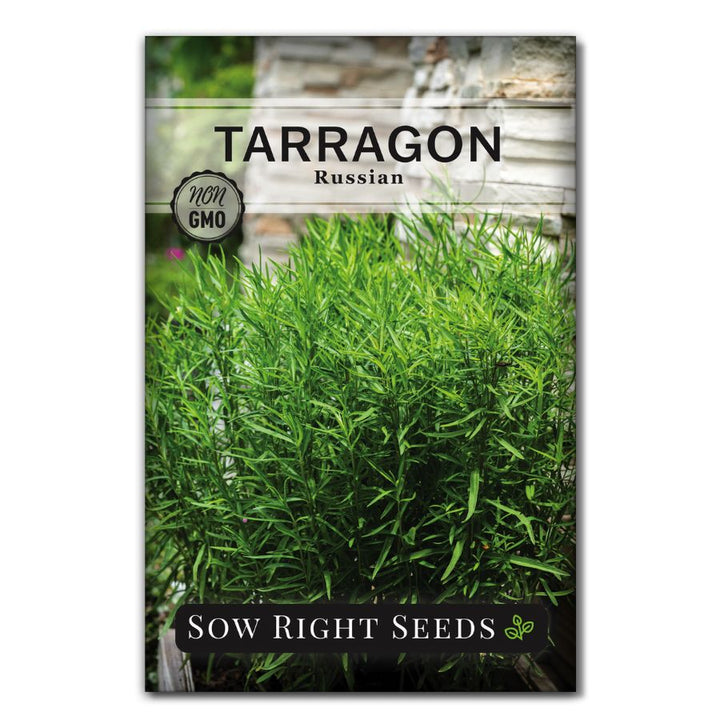 Sow Right Seeds - Russian Tarragon Seeds for Planting - Little Dragon