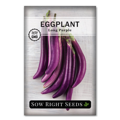 long eggplant solanum seeds