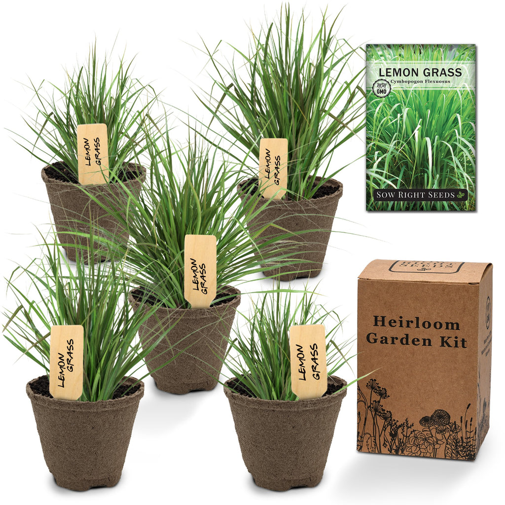 Lemon Grass Anti-Moth Emergency Kit - Lemongrass Trading Company