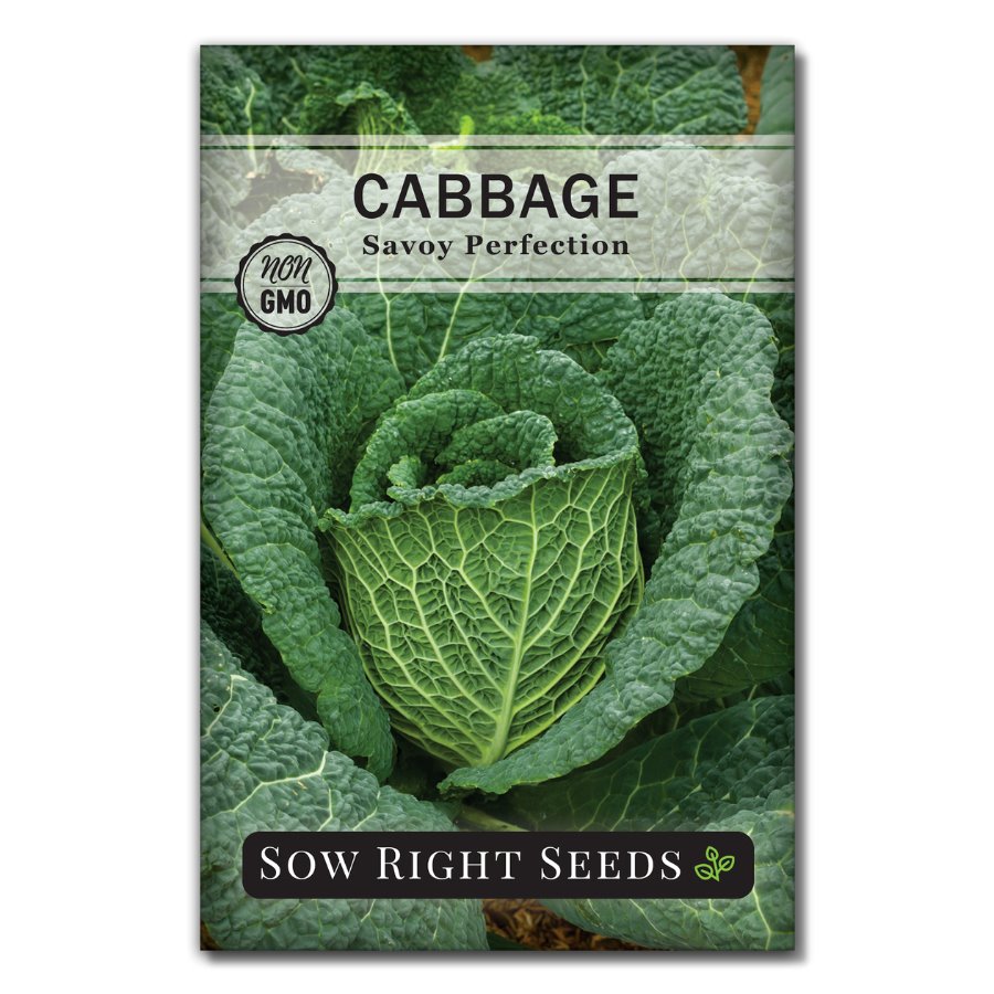 Savoy Perfection Cabbage Seeds for Planting Easy to Grow Sow Right