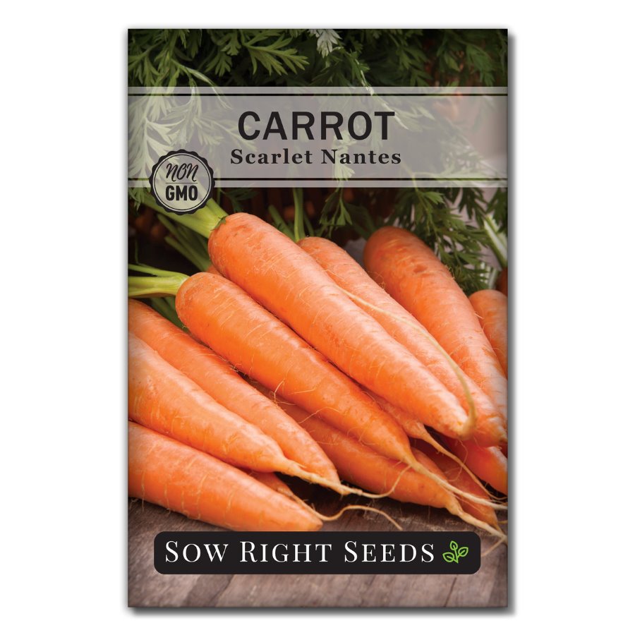 Scarlet Nantes Carrot Seeds for Planting | Compact Delicious Carrot ...