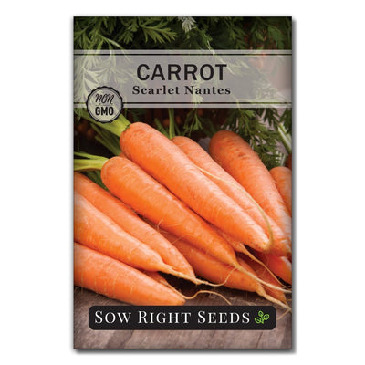 vegetable scarlet nantes carrot seeds