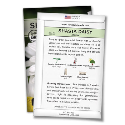 how to grow the best alaska shasta daisy plants