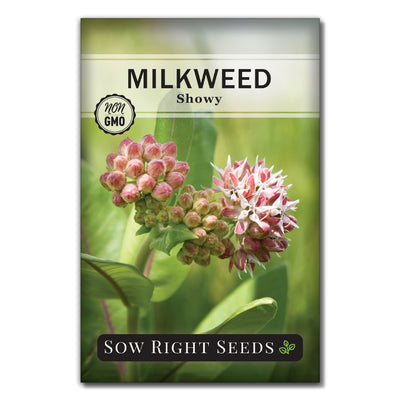 showy pink milkweed seeds for sale