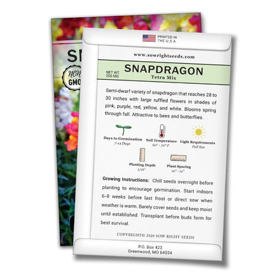 how to grow the best snapdragon plants