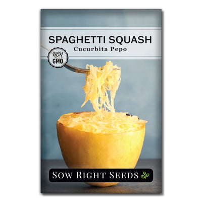 vegetable spaghetti squash seeds