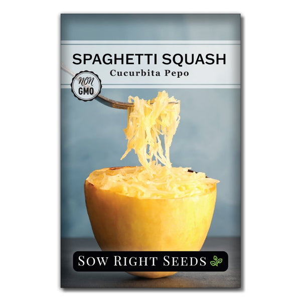 Spaghetti Squash Seeds for Planting