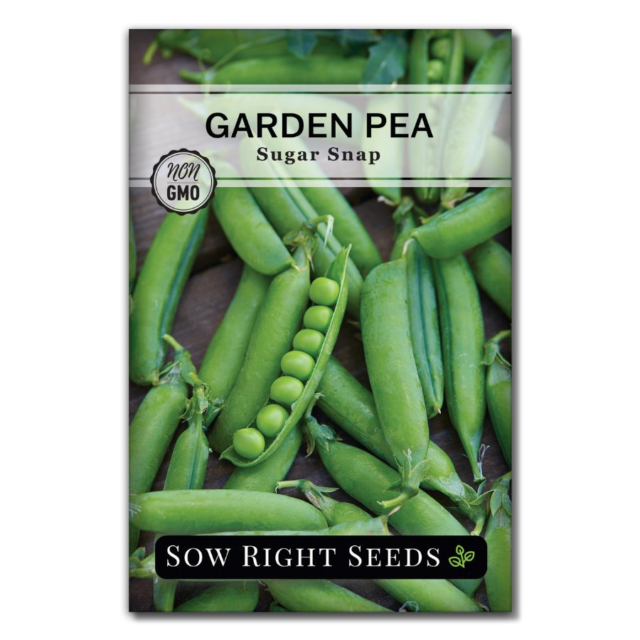 Sugar Snap Pea Seeds for Planting | Spring Garden Snack – Sow Right Seeds