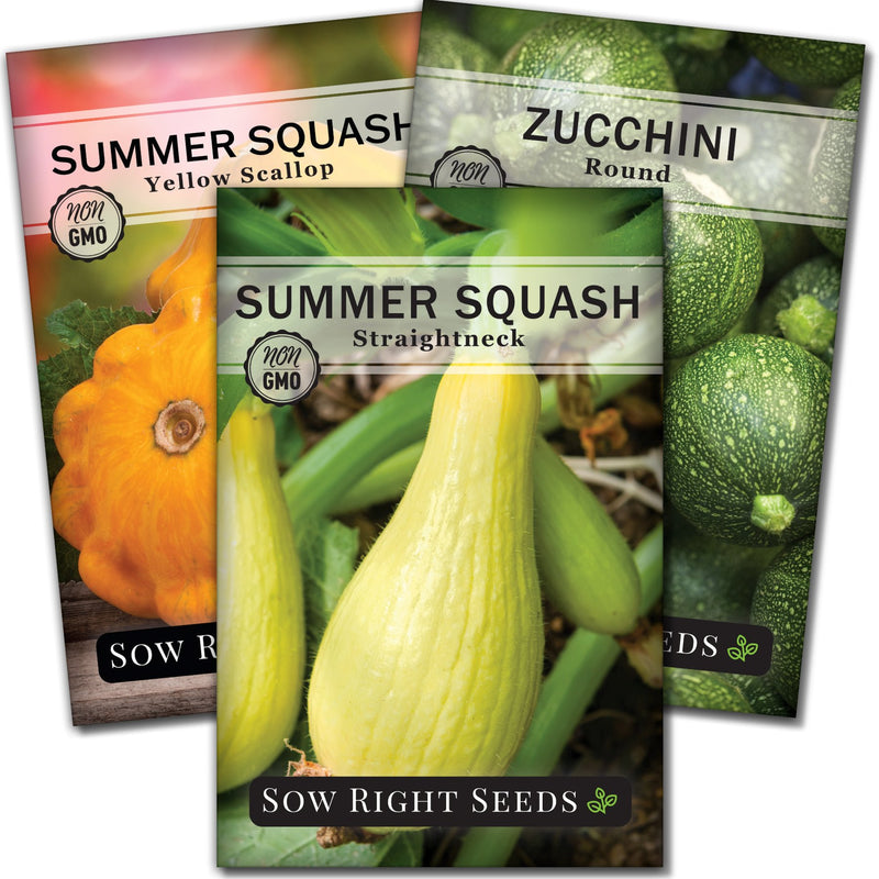 summer squash seed packet collection with 3 varieties of seeds for sale