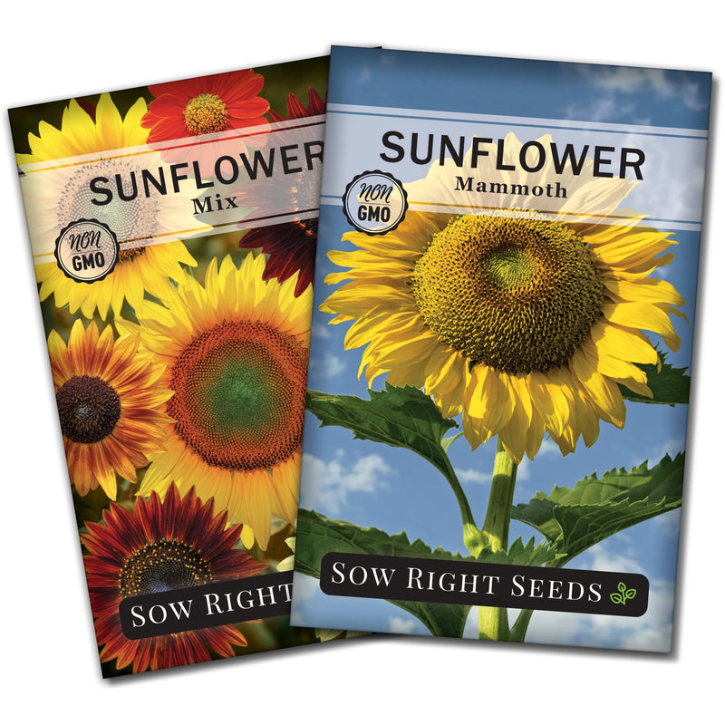 sunflower garden seed packet collection with 2 varieties for sale
