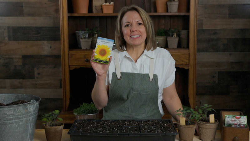 peredovik sunflower product video why you should grow sunflower seeds sow right seeds video media