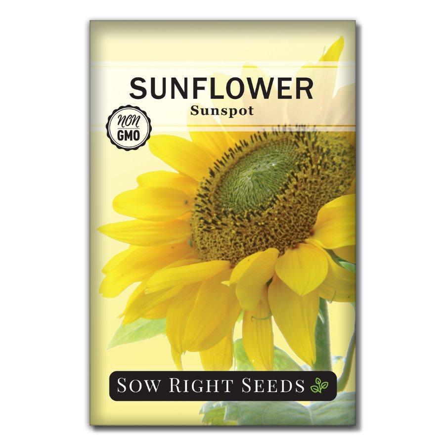 Sunspot Sunflower Seeds for Planting | Fast & Easy to Grow – Sow Right ...