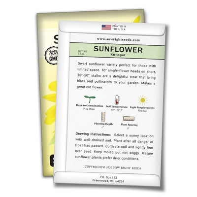 how to grow the best sunflower plants