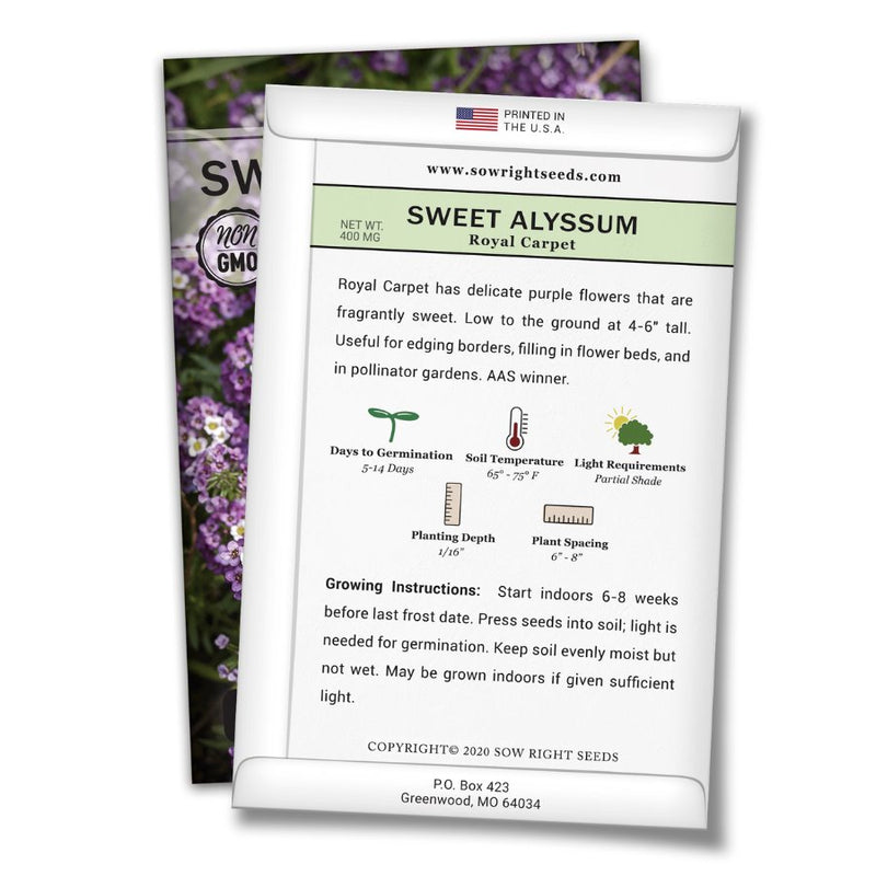 how to grow the best royal carpet sweet alyssum plants