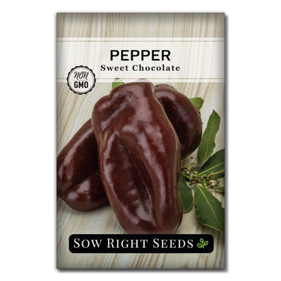 vegetable sweet chocolate pepper seeds