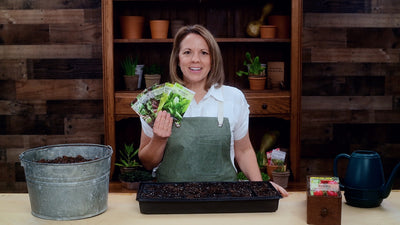 small greens collection product video why you should grow greens sow right seeds video media