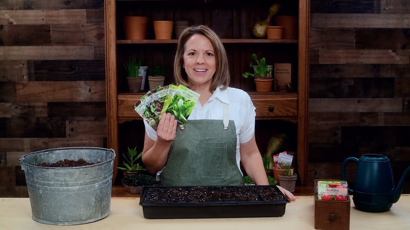 small greens collection product video why you should grow greens sow right seeds video media