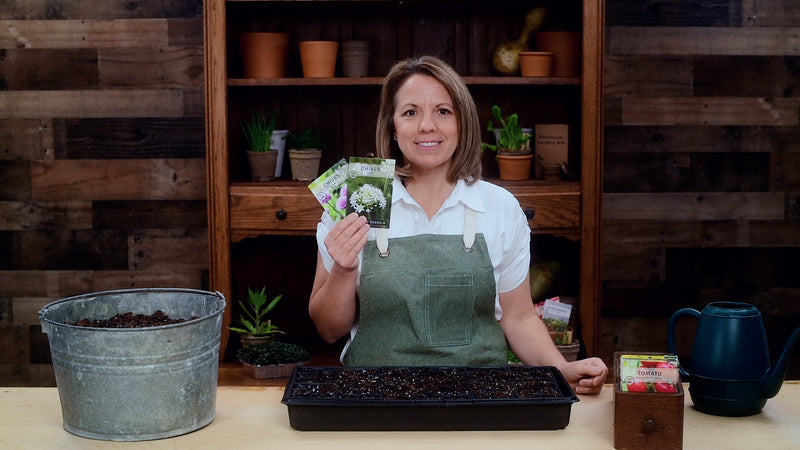 chive collection product video why you should grow chives seeds sow right seeds video media